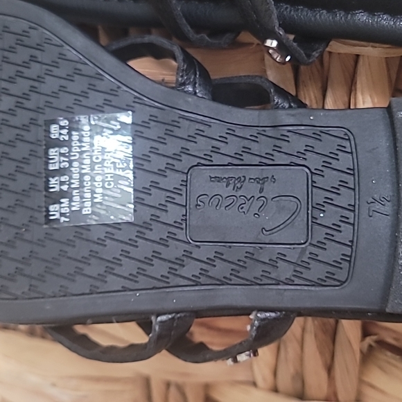 ๐ฟ CIRCUS BY SAM EDELMAN CHERRY FF SANDALS - Picture 7 of 8